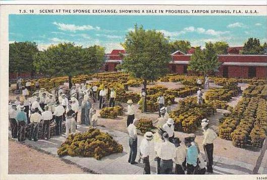 Florida Tarpon Springs Scene At The Sponge Exchange Showing A Sale In Progress