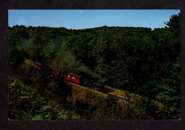 WI Riverside Great Northern Railroad Train WISCONSIN DELLS Postcard Hyde Park