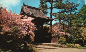 San Francisco California, Oriental Tea Garden Golden Gate Park, Vintage Postcard