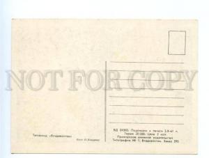 3172788 Motor Ship MS VLADIVOSTOK old Russian Soviet PC