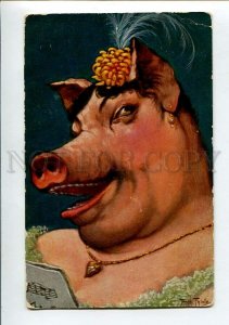 3150367 Dressed PIG Opera Singer By THIELE vintage TSN PC