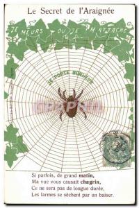 Old Postcard Fancy Spider Porte Bonheur