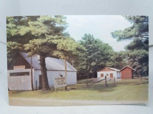 Severn Bridge Fair Grounds Muskoka Vintage Postcard Centennial Fair Sept 8 1973