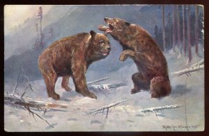 h1837 - ARTIST Signed Postcard 1900s Brown Bears