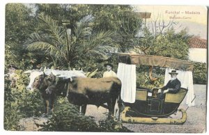 Postcard Bullock Carro Funchal Madeira Portugal