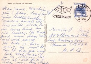 Horses,Nordsee,Germany BIN