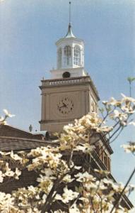 TN, Tennessee AUSTIN PEAY STATE UNIVERSITY~Browning Clock Tower  Chrome Postcard