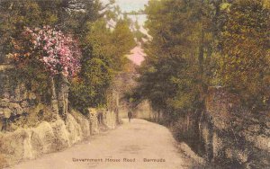 Government House Road Bermuda hand colored postcard