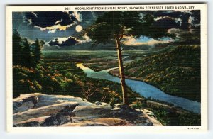 Moonlight From Signal Point Tennessee River & Valley Postcard Vintage Linen