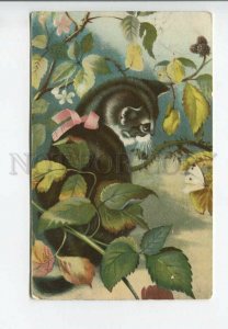 3183227 RUSSIA CAT Kitten butterflies Vintage RPPC MOSCOW