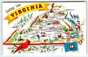 Postcard Greetings From Virginia Map Chrome Cardinal Bird Old Dominion State