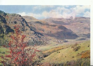 Wales Postcard - Upper Nant Gwynant - Caernarvonshire - Ref TZ8667