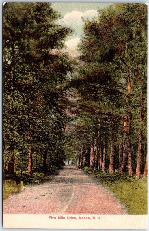 VINTAGE POSTCARD FIVE MILE DRIVE AT KEENE NEW HAMPSHIRE 1900s