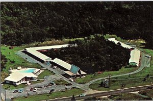 Postcard MOTEL SCENE Cape Cod Massachusetts MA AI7959