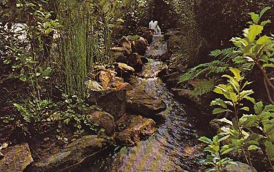 Japanese Garden Of Peace Fredericksburg Texas