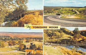 uk8916 yorkshire moors uk