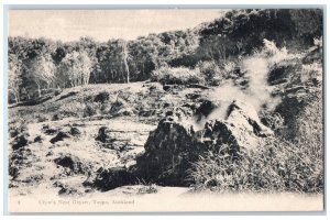 c1905 Crow's Nest Geyser Taupo Auckland New Zealand Antique Postcard