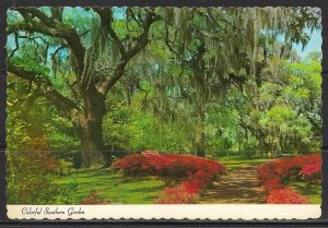 South Carolina - Colorful Southern Garden - [SC-041X]