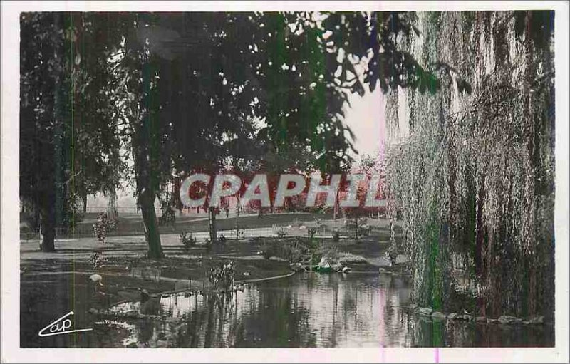 Postcard Moderne Vichy Parks and the New Swan Pools