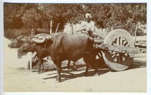 Agra Chakrata India Wagon RPPC Postcard