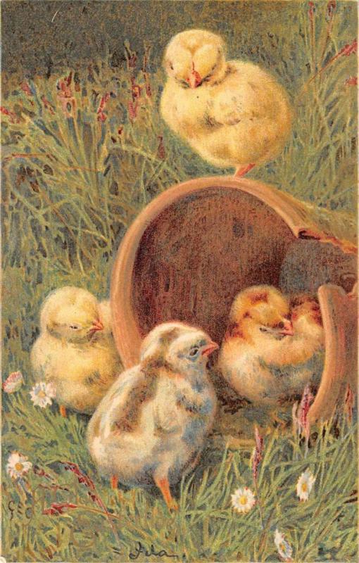 Easter Chicks in garden Antique Postcard L3224