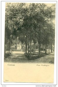 Plaza Washington, Trees, Caracas, Venezuela, 1900-1910s