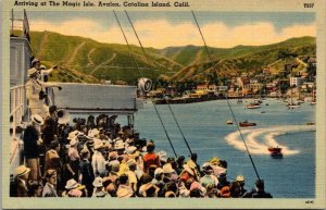 California Catalina Island Avalon Arriving At The Magic Isle