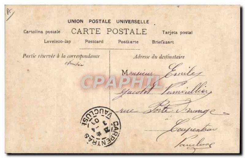 Fancy Butterfly Postcard Old Woman