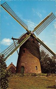 BT1193 moulin a vent windmill mill schoorl oude molen netherlands windmolen