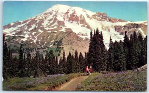 M-55641 Mt Rainier and Paradise Valley Washington