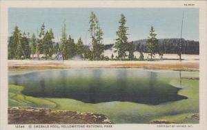 Wyoming Yellowstone National Park Emerald Pool