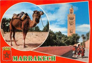 BG14130 marrakech camel types folklore  morocco