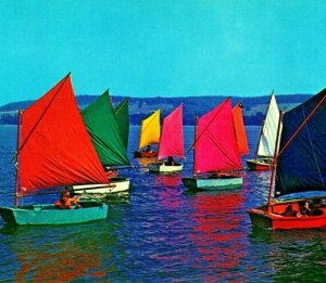 Sailing Boats on Chautauqua Lake New York NY UNP Vtg Chrome Postcard
