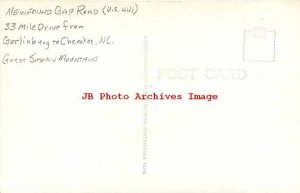 TN, Great Smoky National Park, Tennessee, RPPC, Newfound Gap Parking,Cline Photo 