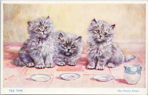 M. Gear Artist 'Tea Time' Blue Persian Kittens Drinking Tea Saucers Postcard G71