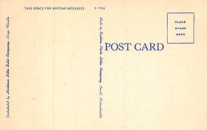 A Typical Florida Orange Grove