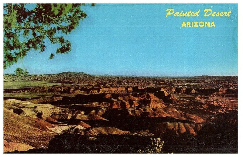 Vintage Tarjeta Postal Pintada Desierto Arizona Route 66