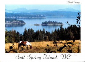 wwCanada British Columbia Salt Spring Isand Beuatiful