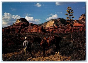 1988 Colorful Oak Creek Canyon Rock Formation Scenic View Arizona AZ Postcard 