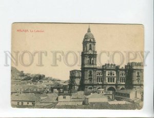 3172125 SPAIN MALAGA La Catedral Vintage postcard