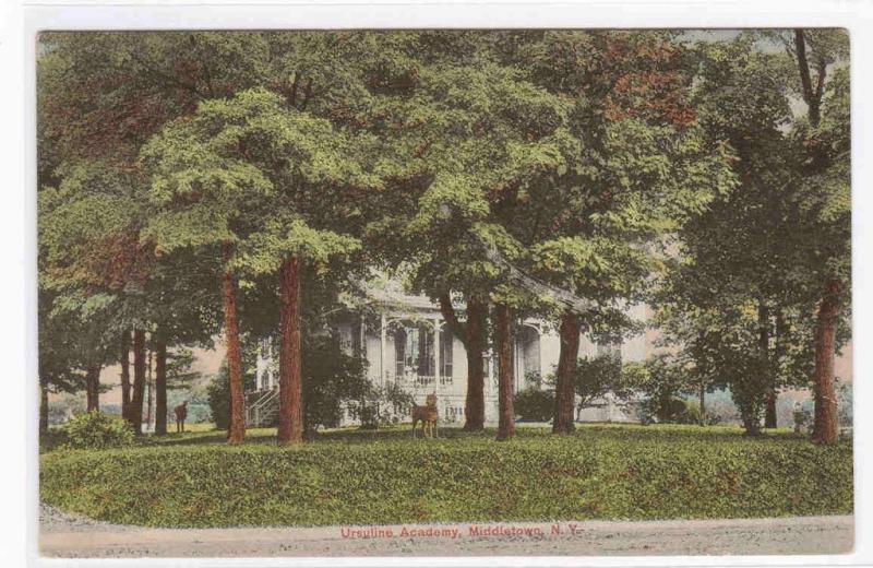 Ursuline Academy Middletown New York 1908 postcard 