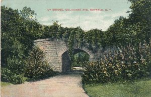 Buffalo NY, New York - The Ivy Bridge in Delaware Park - pm 1908 - DB