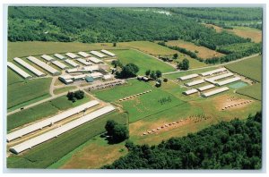 c1960s Plainville Turkey Farm Inc. A Family Farm Plainville New York NY Postcard