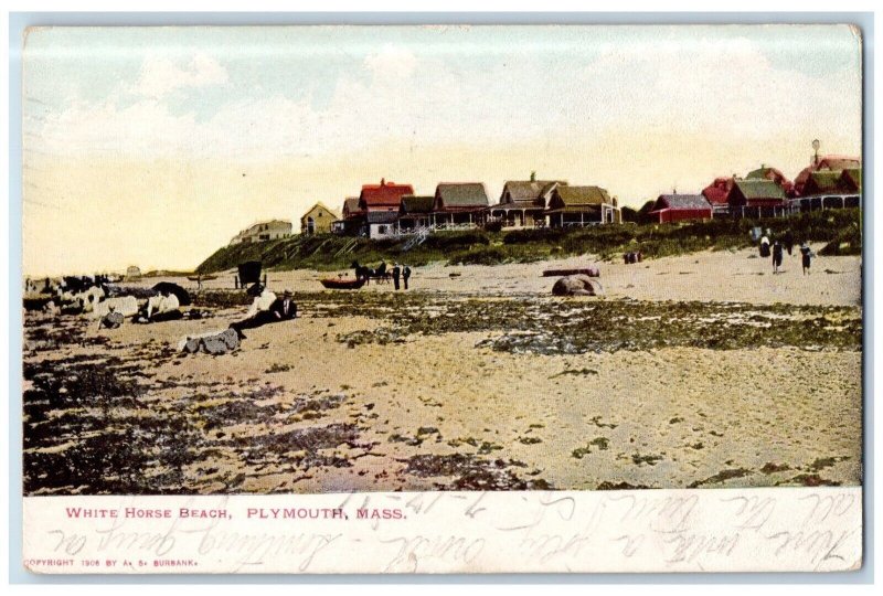1907 White Horse Beach Plymouth Massachusetts Asburbank Vintage Antique Postcard