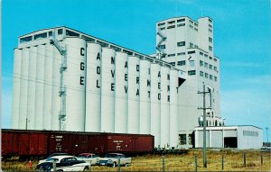 Lethbridge AB Canadian Government Elevator CP Rail Cars Unused Postcard G34