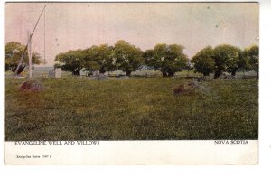 Evangeline Well and Willows, Nova Scotia Warwick, Used