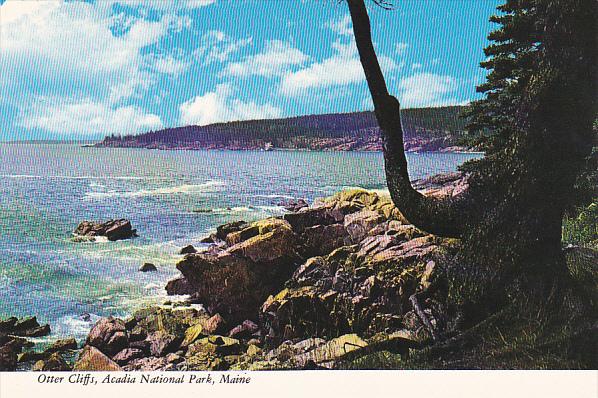 Otter Cliffs Acadia National Park Maine