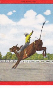 Cowboy Steer Riding