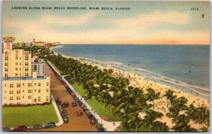 1943 Looking Along Miami Beach Shoreline Miami Beach Florida FL Posted Postcard