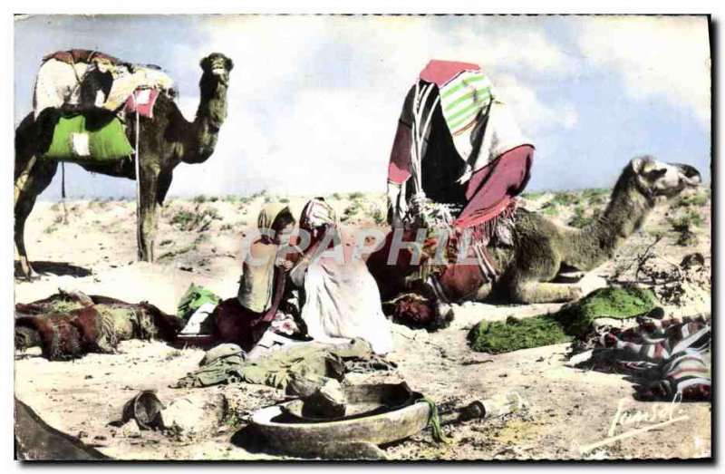 Modern Postcard Camp Camel nomads
